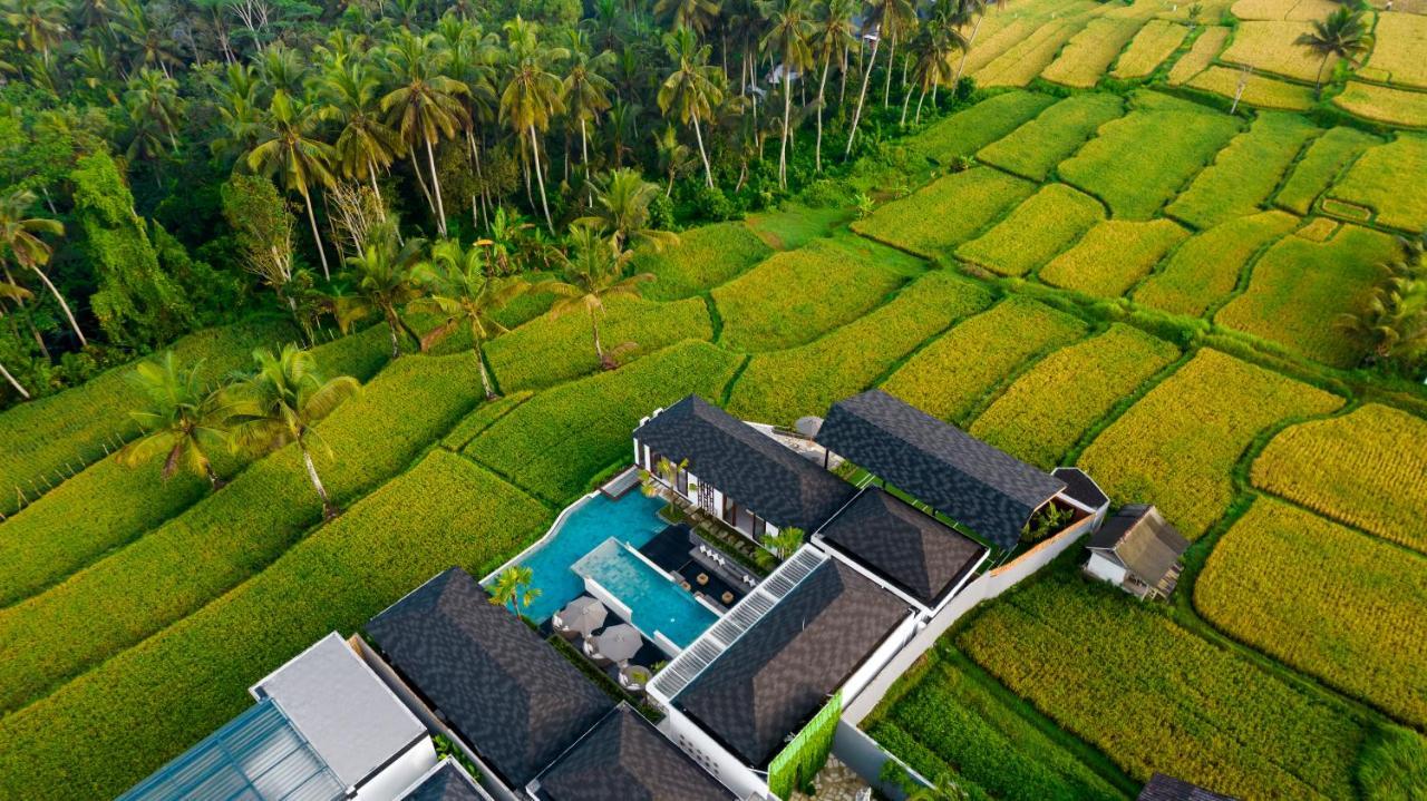 Villa Mia By Balisuperhost 乌布 外观 照片